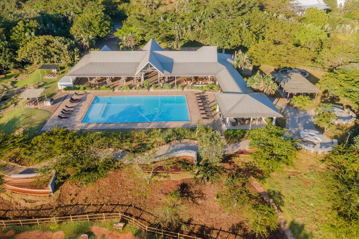 Aerial view of a residential property featuring a large swimming pool, expansive covered patio areas, and mature landscaped grounds.