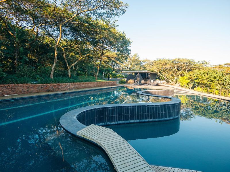 A large, uniquely shaped swimming pool featuring a timber footbridge, surrounded by lush greenery and a brick retaining wall.