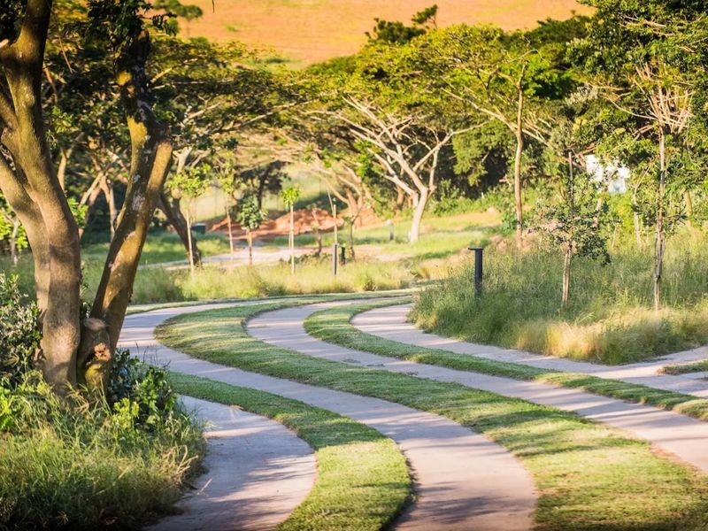 A beautifully landscaped garden area featuring winding concrete pathways integrated with lush green lawn and mature trees.