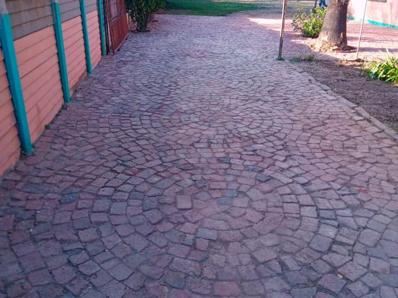 A rear outdoor area featuring circular pattern cobblestone paving, a precast concrete boundary wall, and a mature palm tree in the garden.