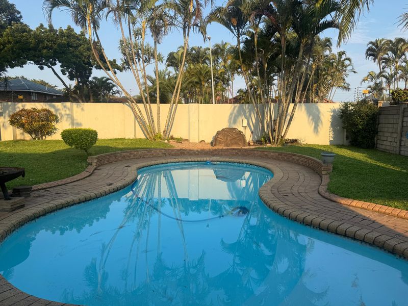 A well-maintained backyard featuring a curved swimming pool with brick coping, surrounded by a lush garden and secure perimeter walling.