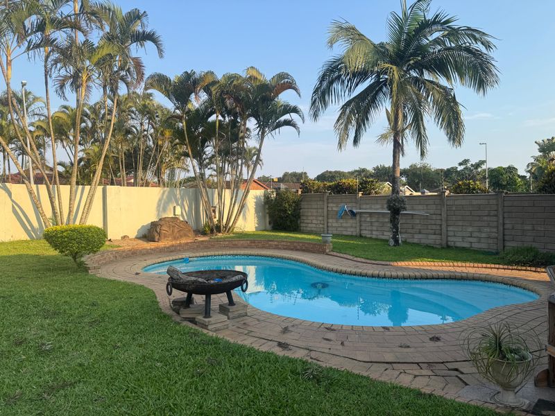 A private backyard featuring a kidney-shaped swimming pool surrounded by brick paving, mature palm trees, and a secure boundary wall.