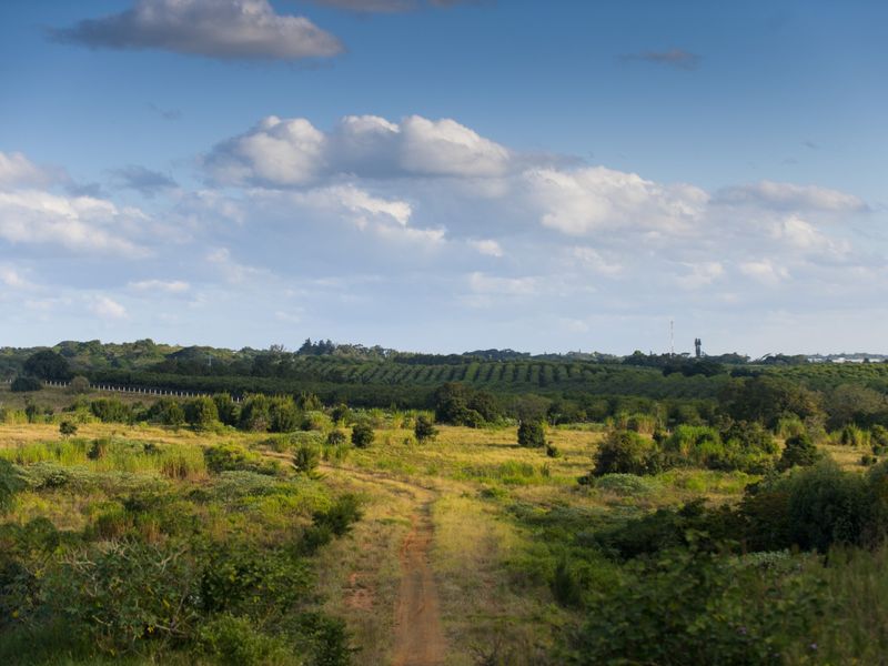 A scenic view of an expansive, undeveloped residential land plot featuring natural vegetation and a dirt access track under a clear sky.