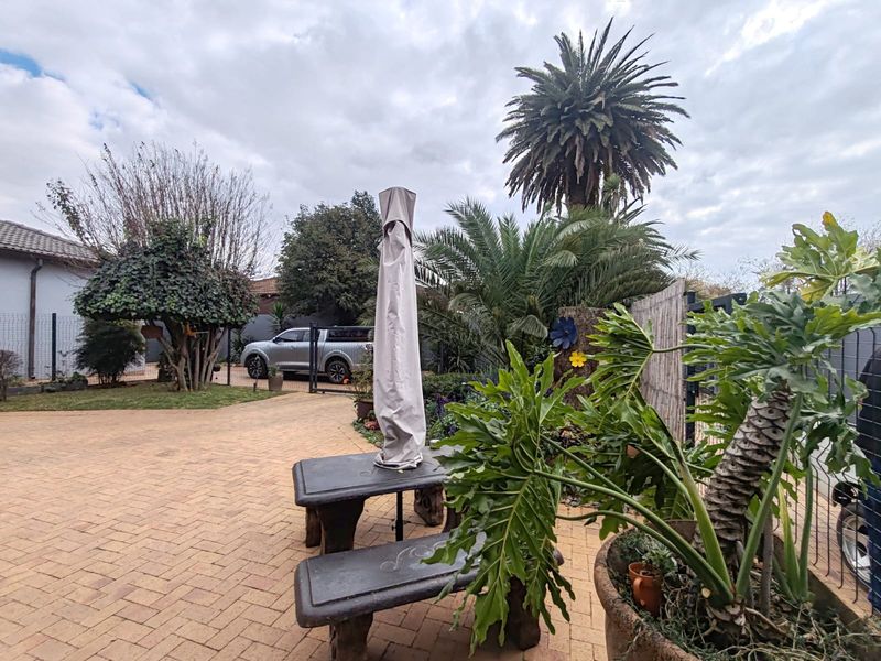 A paved rear courtyard area featuring mature palm trees and perimeter fencing, providing a private outdoor space.