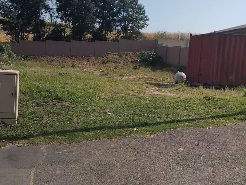 A vacant residential plot featuring a boundary wall, electrical connection point, and direct street access.