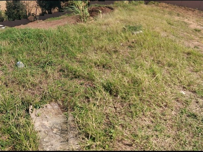 A view of a sloped, undeveloped residential plot featuring natural grass cover and uneven terrain.