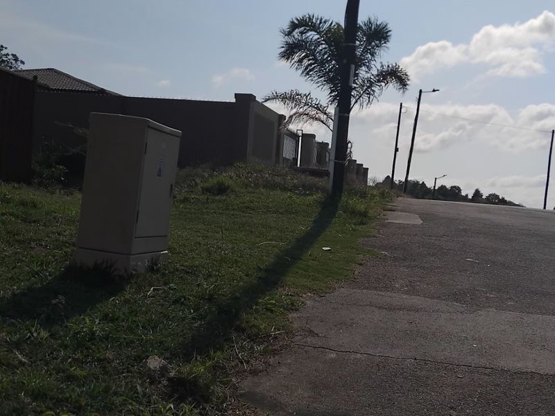 A street-level view of the residential property frontage, showing the paved road, curb, utility infrastructure, and surrounding neighborhood landscape.