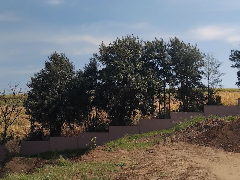 A view of a vacant residential plot featuring a retaining wall and mature trees, showing natural terrain and open space.