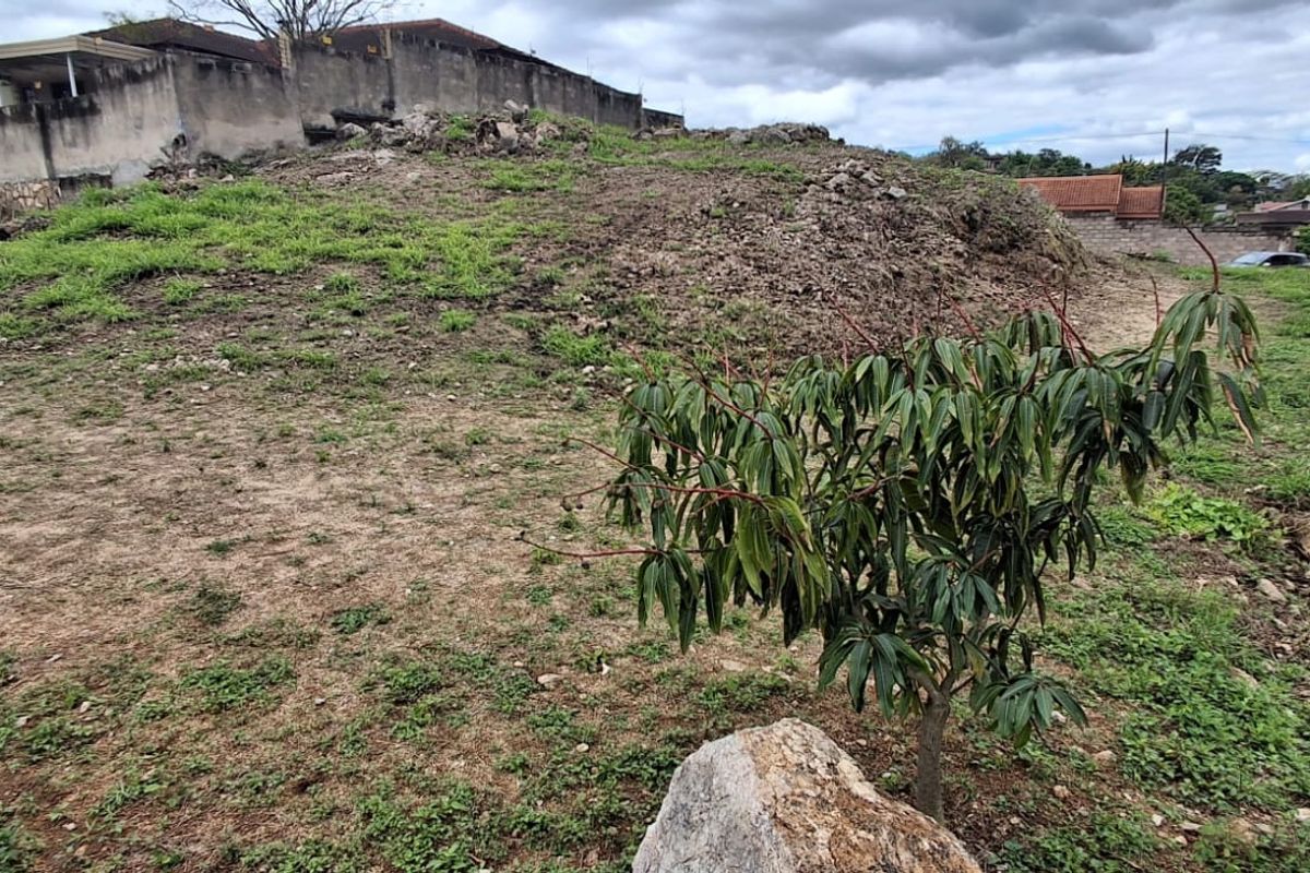 A view of the vacant residential land showing uneven terrain, rocky ground, and surrounding boundary walls.