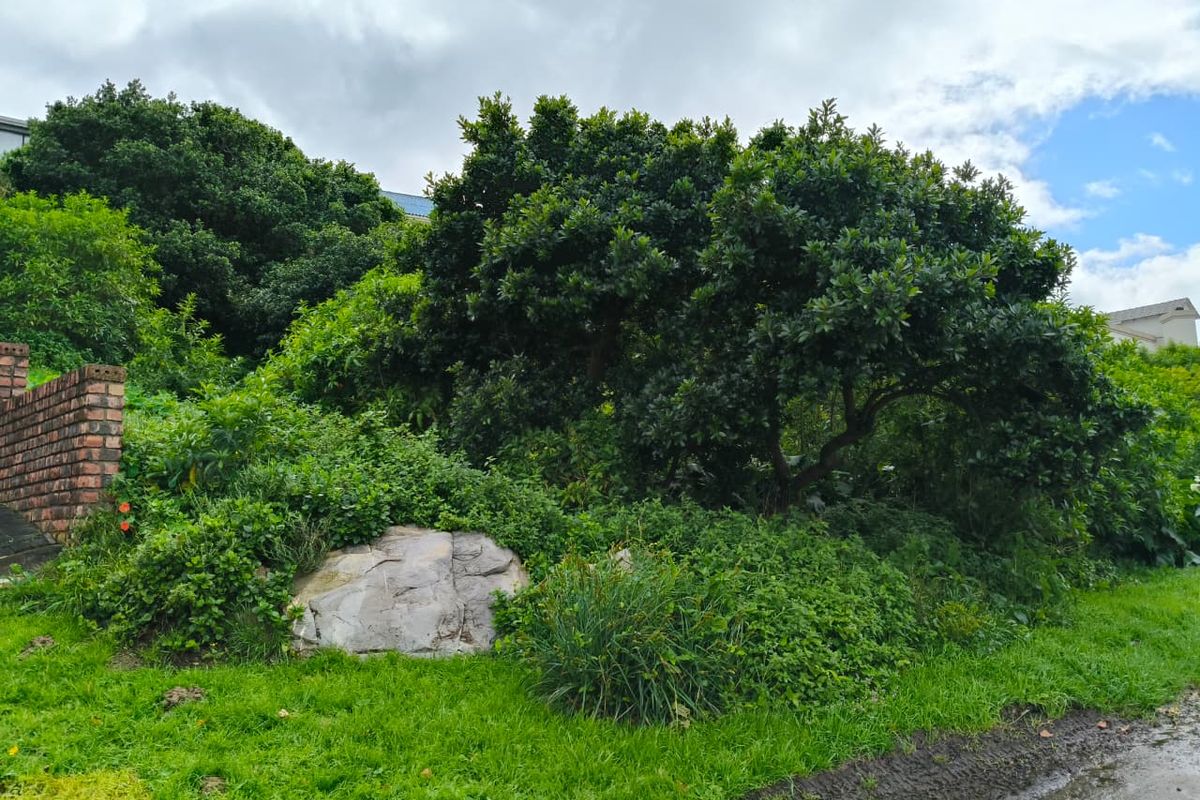 A view of a residential garden plot featuring mature trees, natural rock formations, and a brick retaining wall structure.