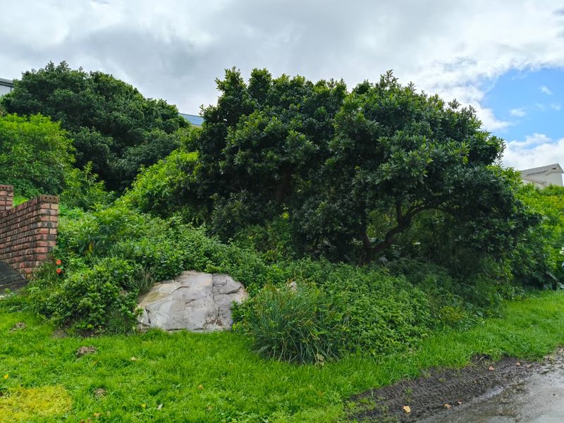 A view of a residential garden plot featuring mature trees, natural rock formations, and a brick retaining wall structure.