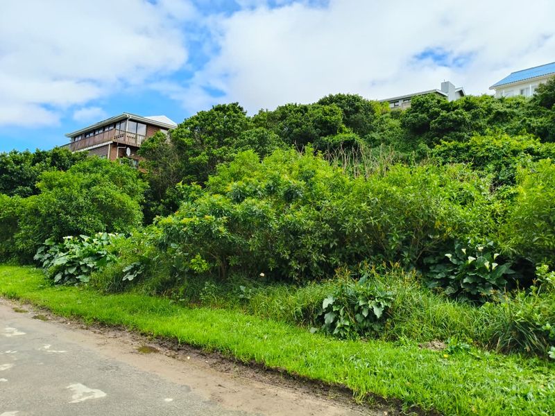 A view of a sloped, heavily vegetated residential vacant land plot situated along a paved road.