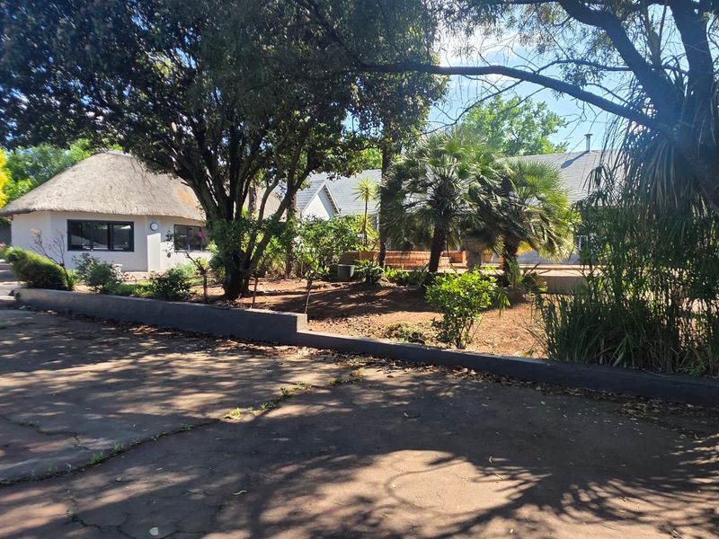 A view of the rear garden area featuring a thatched roof structure, mature trees, and a paved driveway with a concrete retaining wall.