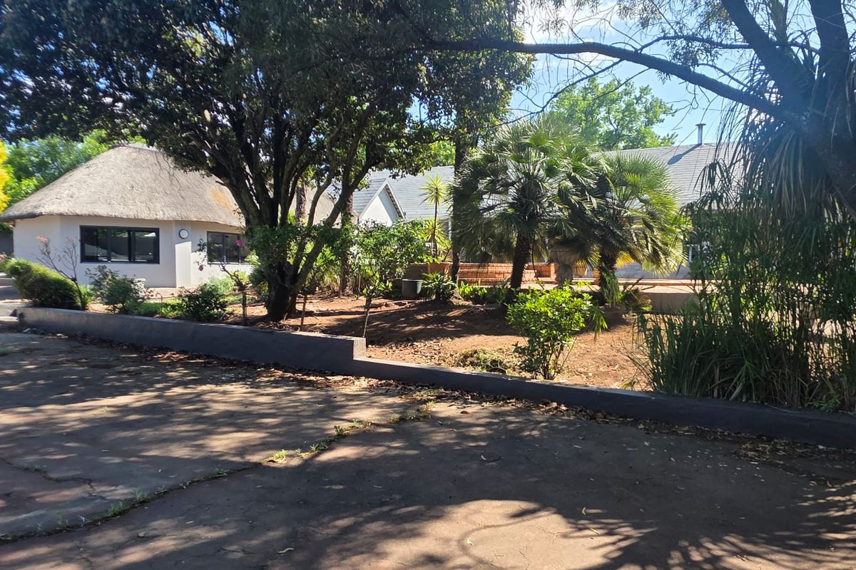 A view of the rear garden area featuring a thatched roof structure, mature trees, and a paved driveway with a concrete retaining wall.