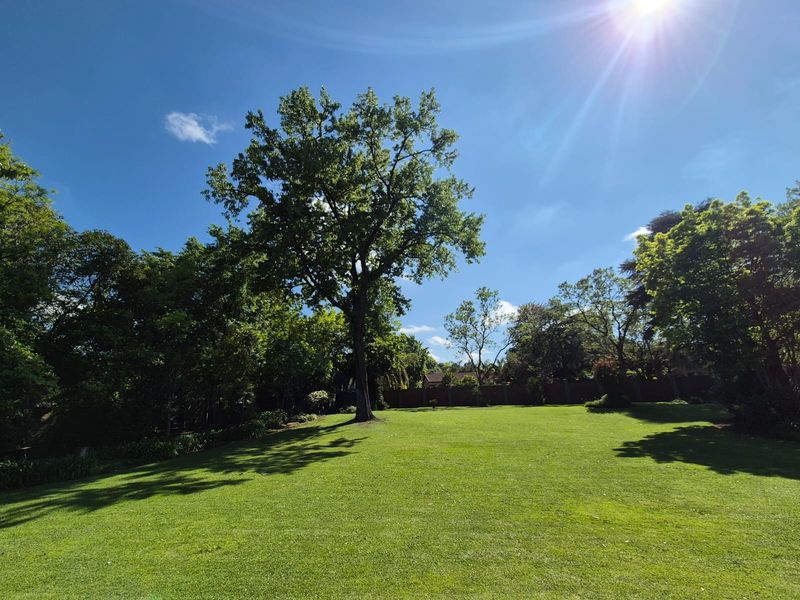 A spacious, well-maintained garden featuring a large, manicured lawn, mature trees, and a secure boundary wall.