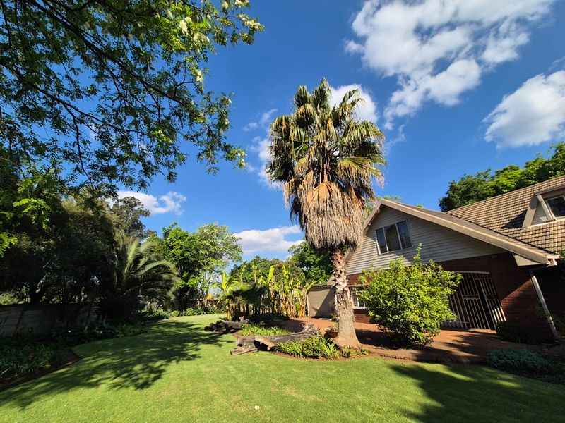 A spacious rear garden featuring a well-maintained lawn, mature palm tree, and a paved patio area adjacent to the brick and tile house exterior.