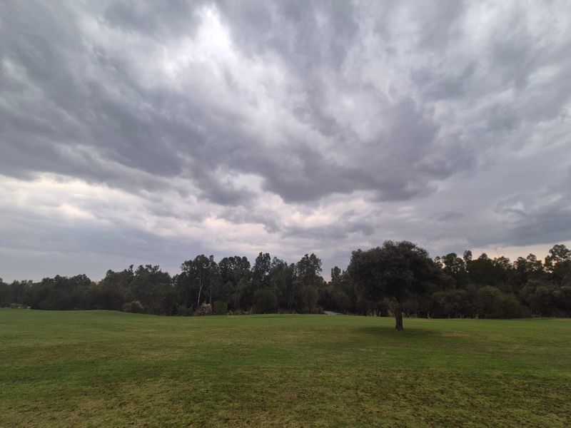 A wide-angle view of a spacious, grassy residential plot featuring mature trees under a cloudy sky.