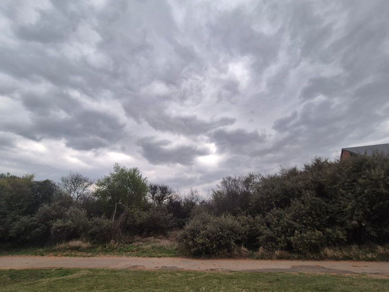 A view of a vacant residential plot featuring established trees and natural vegetation under a cloudy sky.