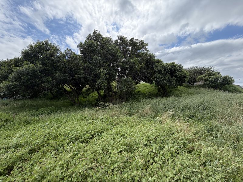 A view of a sloped residential plot featuring established mature trees and natural vegetation.