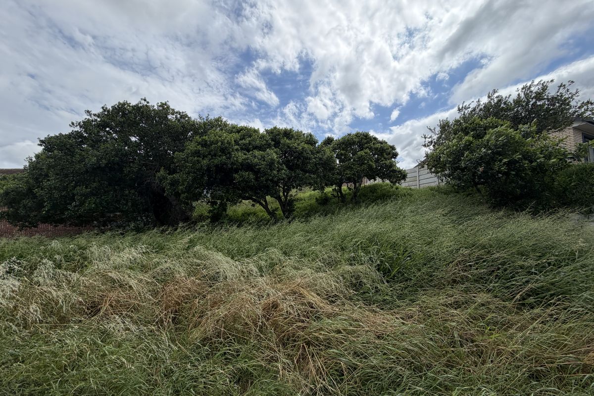 A view of a vacant residential plot featuring established trees and overgrown grass, offering a natural setting for potential development.