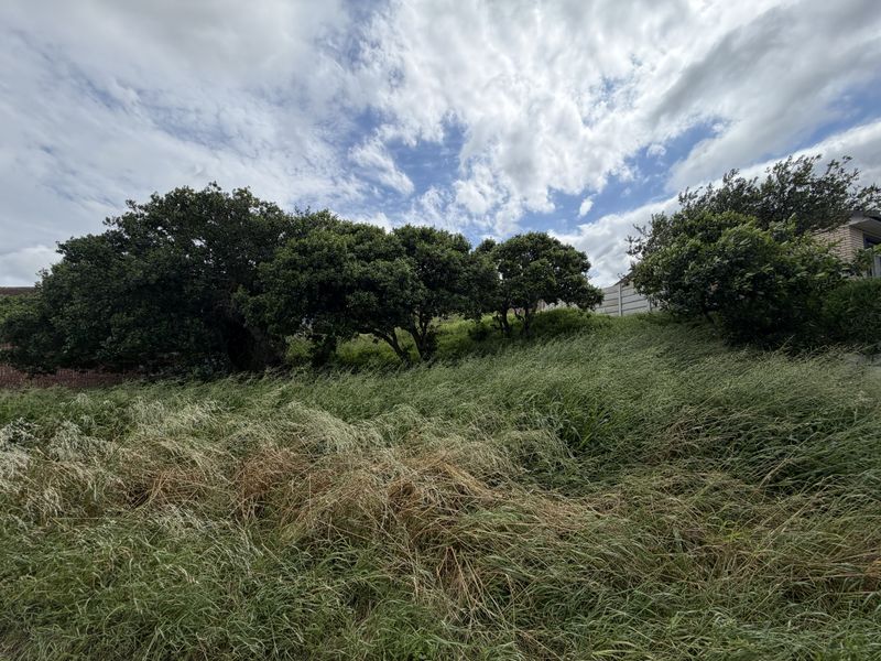 A view of a vacant residential plot featuring established trees and overgrown grass, offering a natural setting for potential development.