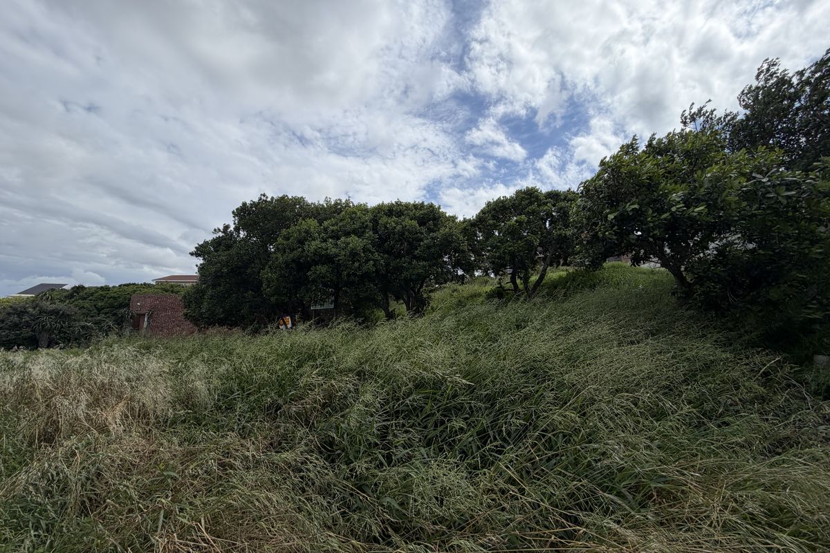 A view of a sloped residential plot featuring established trees and overgrown grass, offering potential for future development.