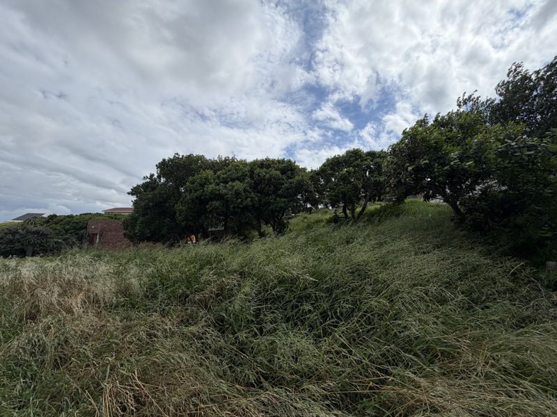 A view of a sloped residential plot featuring established trees and overgrown grass, offering potential for future development.
