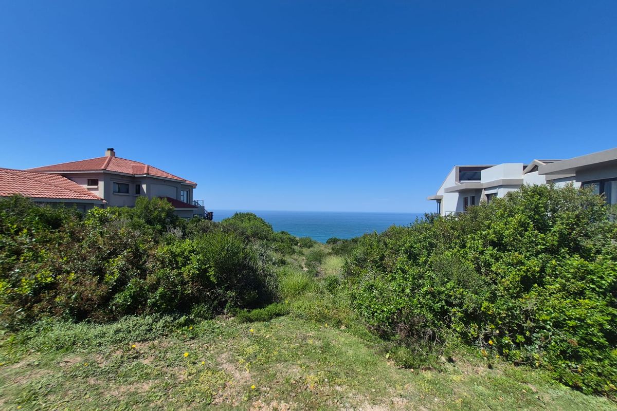 A scenic view of the ocean framed by coastal vegetation and neighboring residential properties, showcasing the natural landscape of the vacant land.