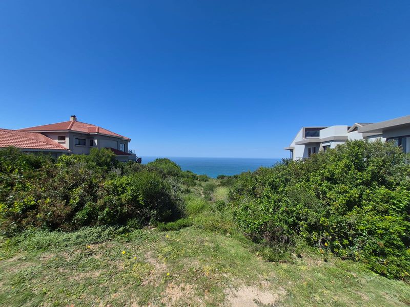 A scenic view of the ocean framed by coastal vegetation and neighboring residential properties, showcasing the natural landscape of the vacant land.