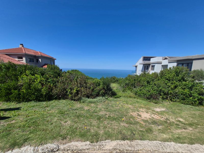 A scenic view of the ocean framed by surrounding residential properties and natural coastal vegetation on a vacant residential plot.