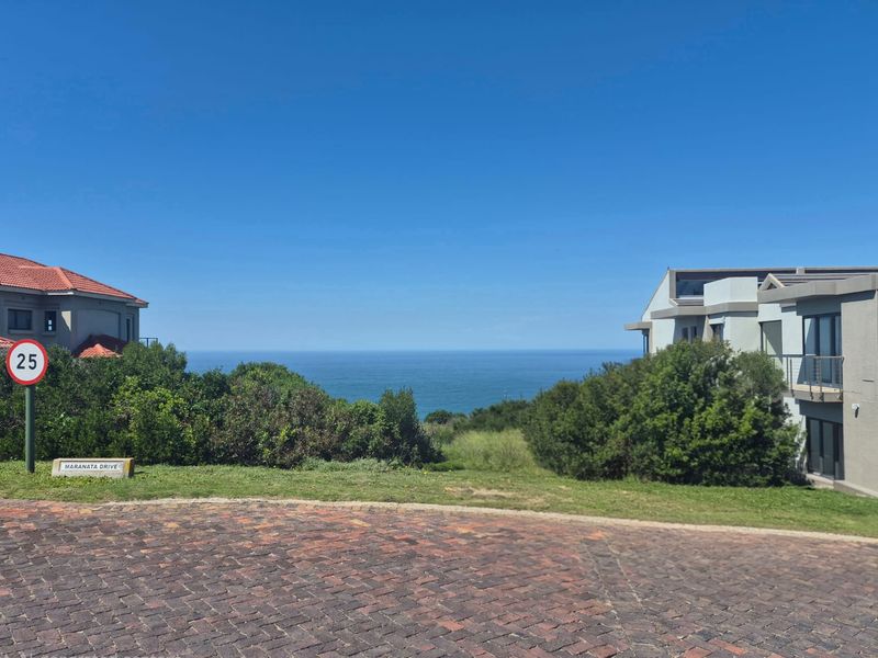 A scenic view of the ocean from a residential street, featuring paved driveway access and surrounding coastal vegetation.