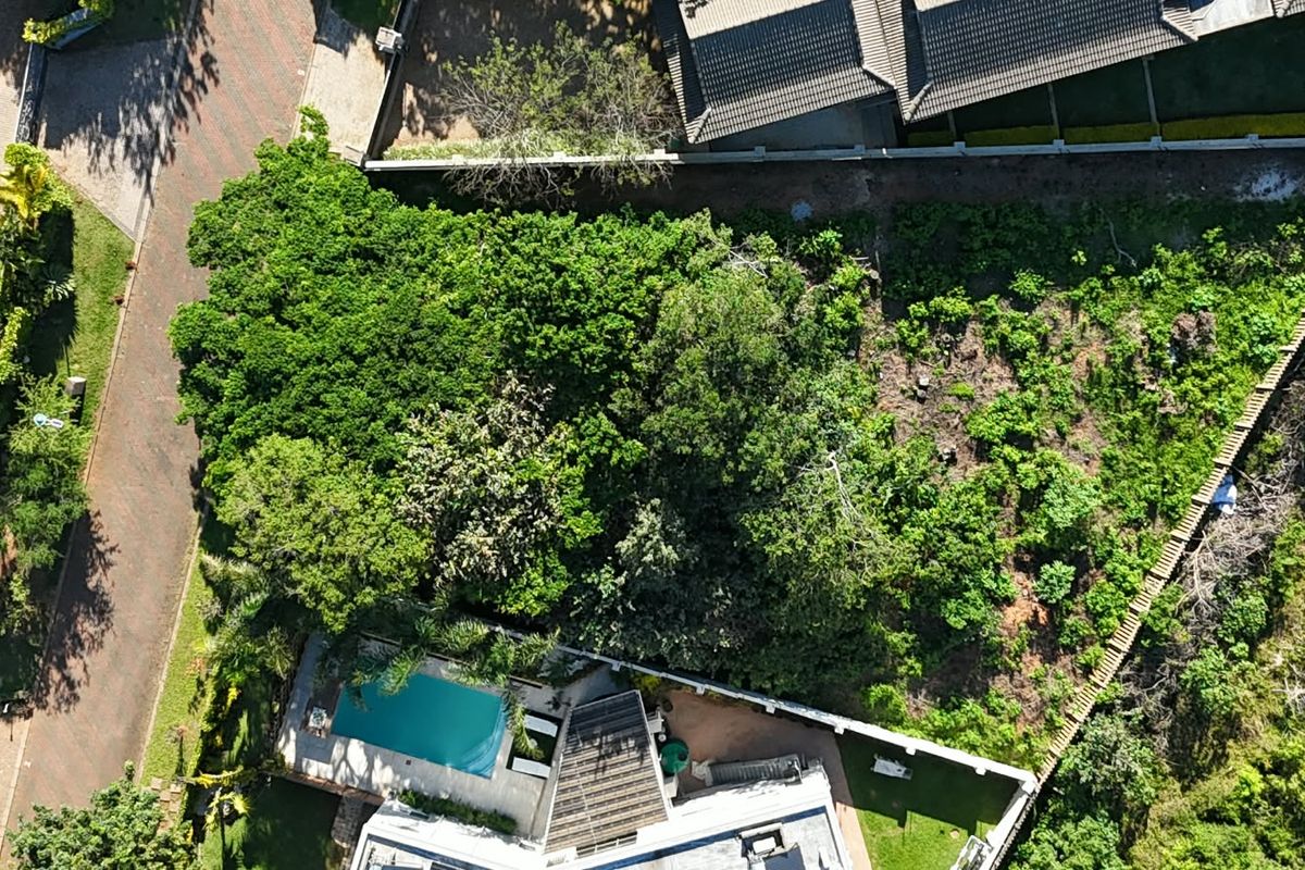 Aerial view of a residential plot featuring a swimming pool, established trees, and boundary walls, showing the current layout of the land.