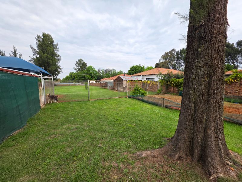 A spacious backyard featuring a large lawn, established tree, brick boundary walls, and a shade sail structure.