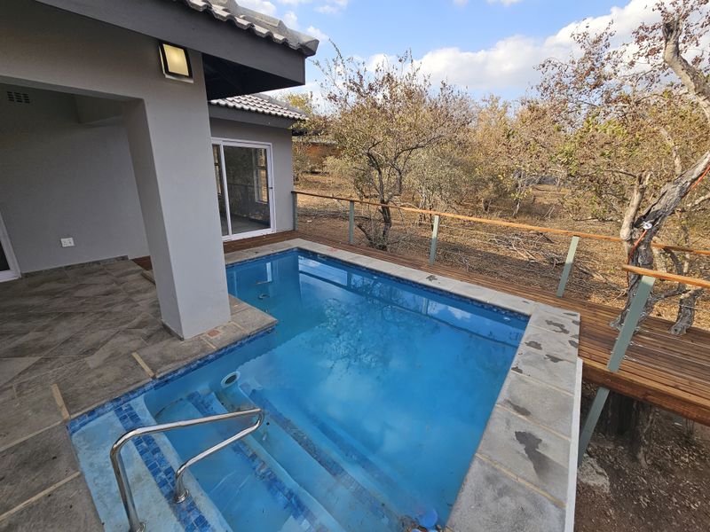 Outdoor plunge pool area featuring a wooden deck, metal railing, and a covered patio space overlooking the natural surroundings.