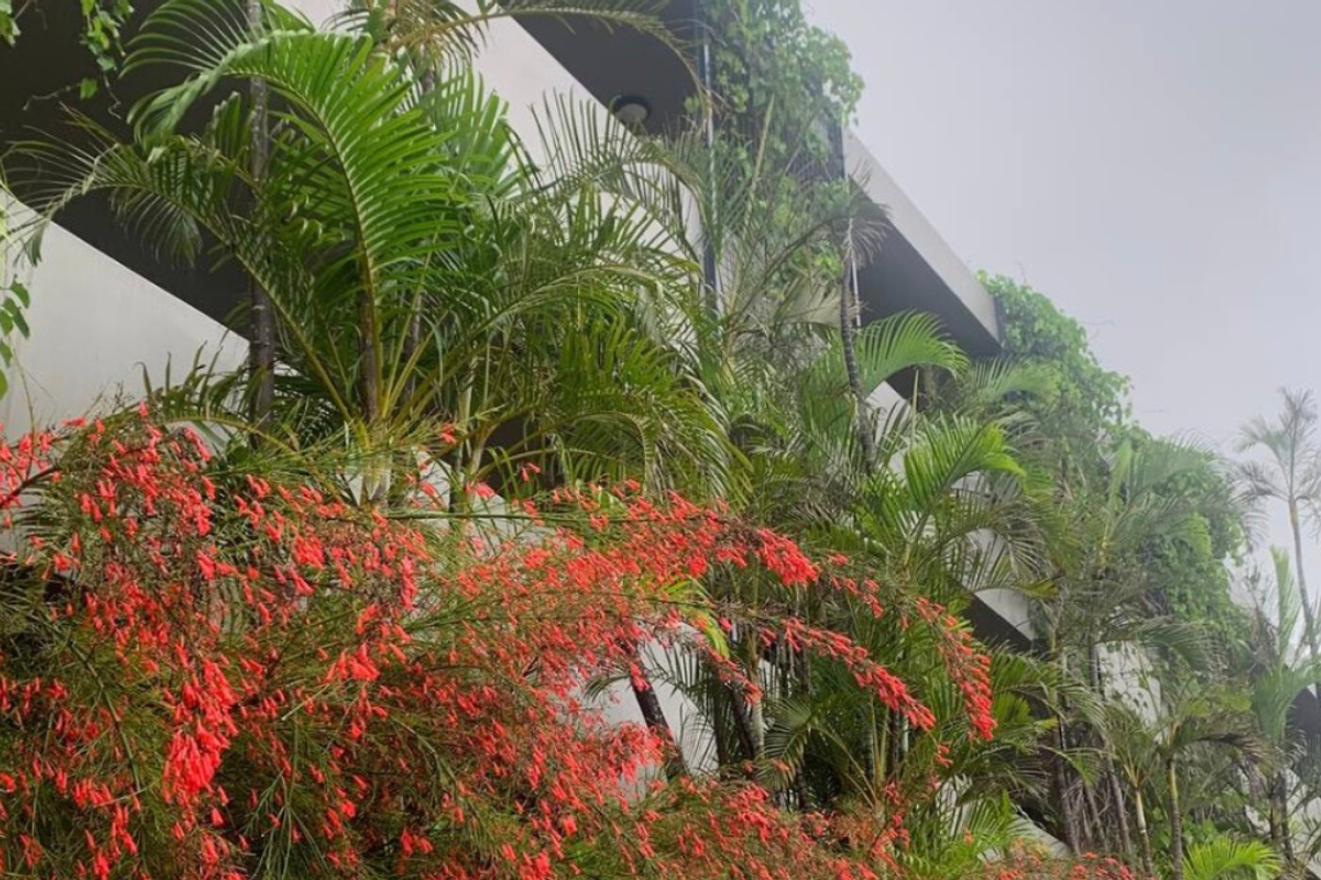 A view of the apartment building exterior featuring multiple levels of balconies partially obscured by lush tropical landscaping and flowering plants.