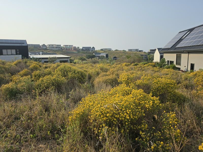 A view of a vacant residential plot featuring native vegetation, situated within a developed estate with neighbouring modern homes.