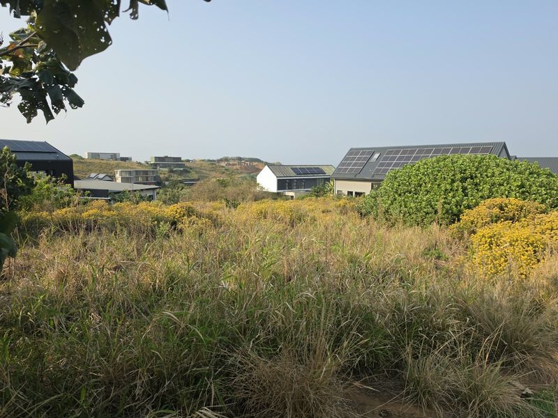 A view of the vacant residential land featuring natural vegetation with surrounding modern residential properties in the background.