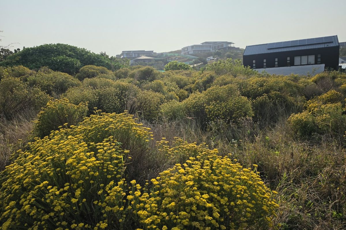 A view of a vacant residential plot featuring natural vegetation and fynbos, with neighboring residential properties visible in the background.