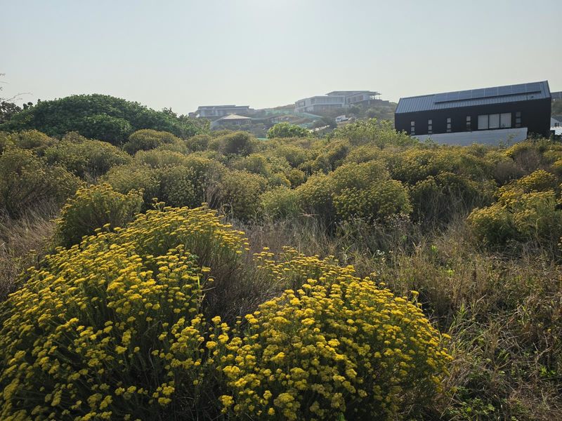 A view of a vacant residential plot featuring natural vegetation and fynbos, with neighboring residential properties visible in the background.