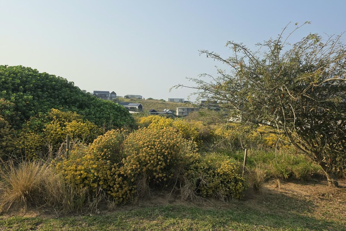 A view of the vacant residential land featuring natural coastal vegetation and surrounding neighborhood landscape.