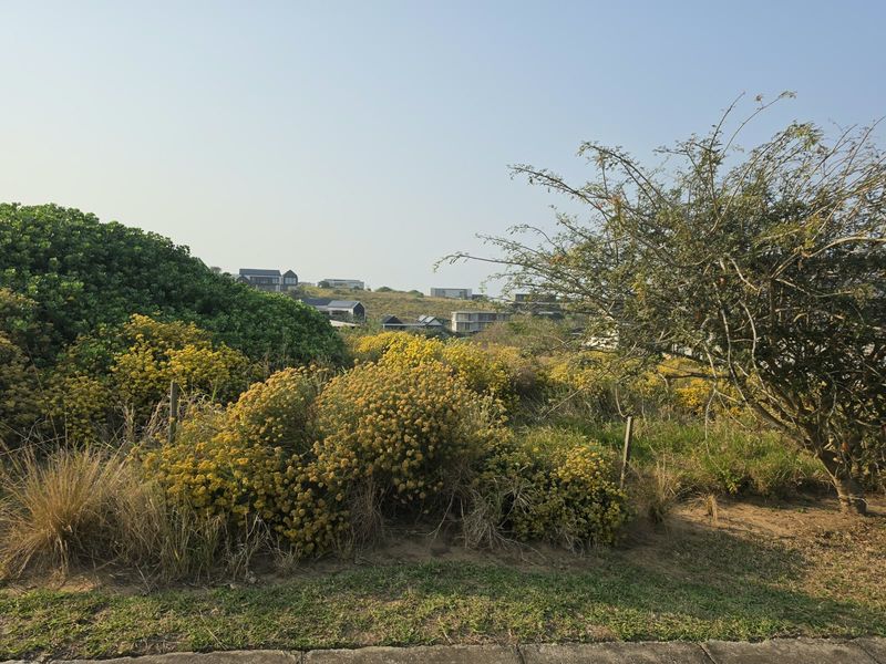 A view of the vacant residential land featuring natural coastal vegetation and surrounding neighborhood landscape.