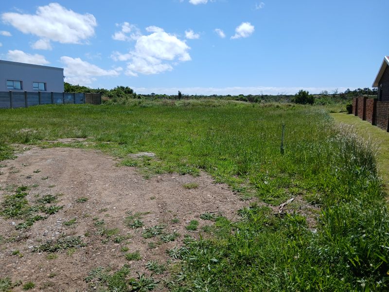 A vacant residential plot featuring open grassland, bordered by existing boundary walls on adjacent properties.