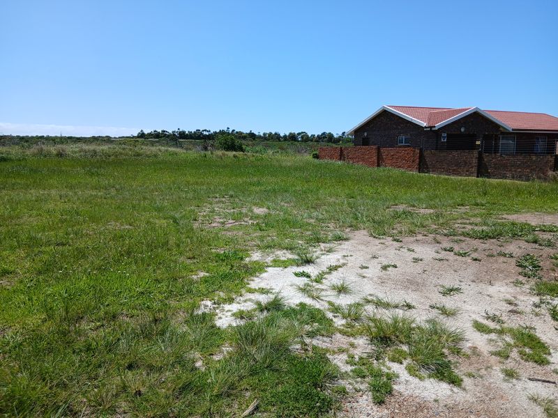 A view of a vacant residential plot of land with natural grass cover and an adjacent brick boundary wall.
