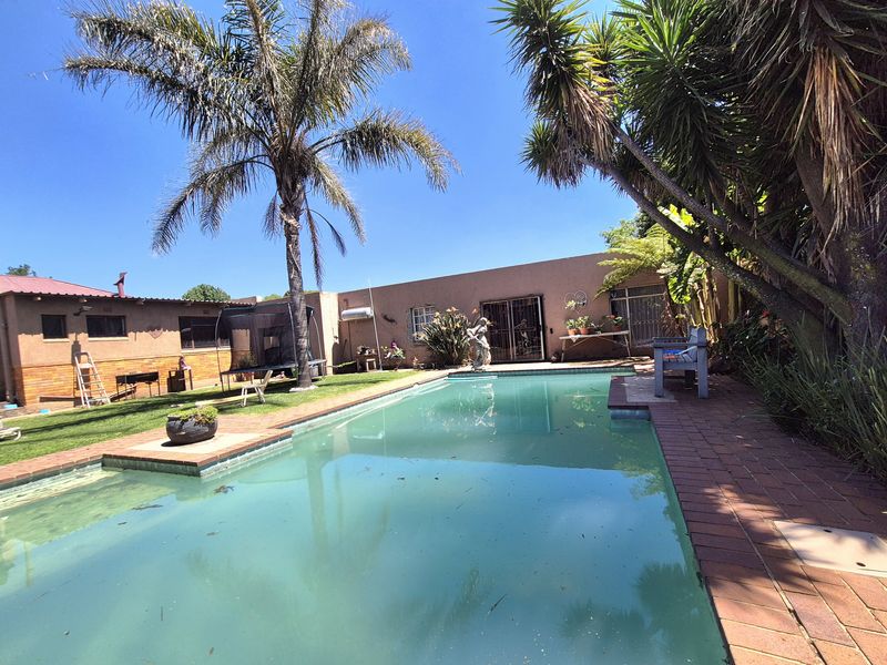 Outdoor pool area featuring a swimming pool, brick paved surround, and established garden landscaping.