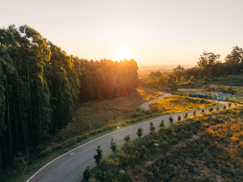 Aerial view of a paved road winding through a natural landscape with mature trees and sunset lighting.