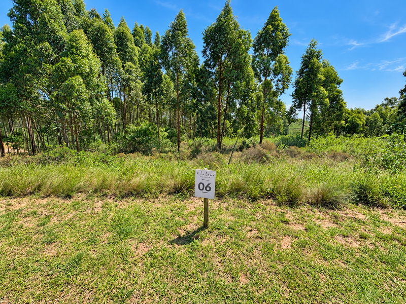 A view of a vacant residential plot featuring natural vegetation and mature trees, marked with a property identification sign.