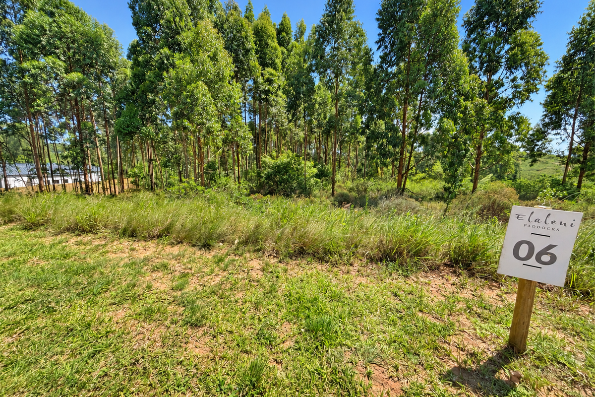 A view of a vacant residential plot featuring established trees and natural grass cover, marked with a property identification sign.