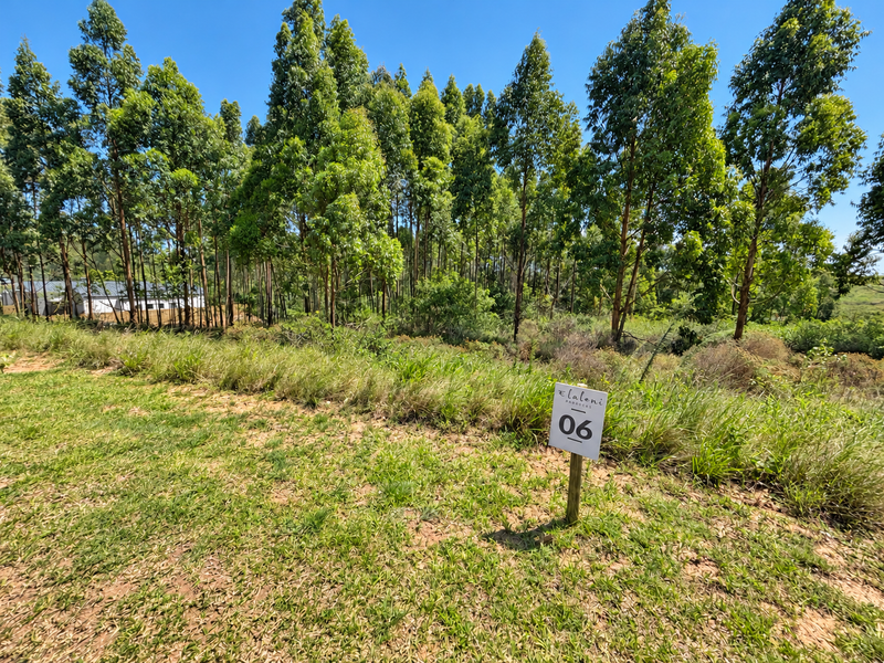 A view of a vacant residential plot featuring established trees and natural grass coverage.
