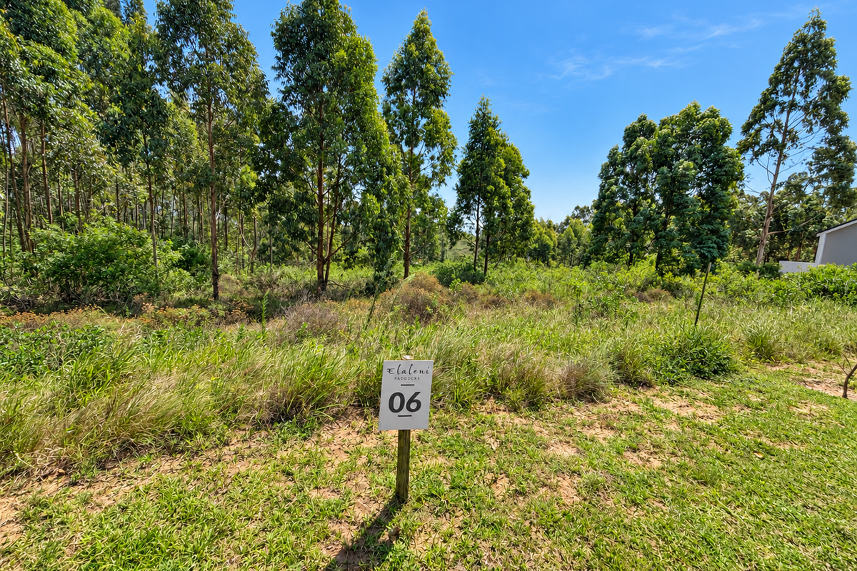A view of a vacant residential plot featuring established trees and natural vegetation, marked with a property identification sign.
