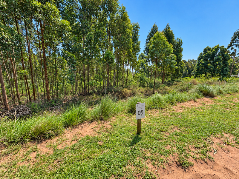 A view of a vacant residential plot featuring natural vegetation, mature eucalyptus trees, and a marked boundary post.